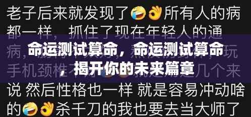 命运测试揭秘未来篇章,揭开你的命运之书
