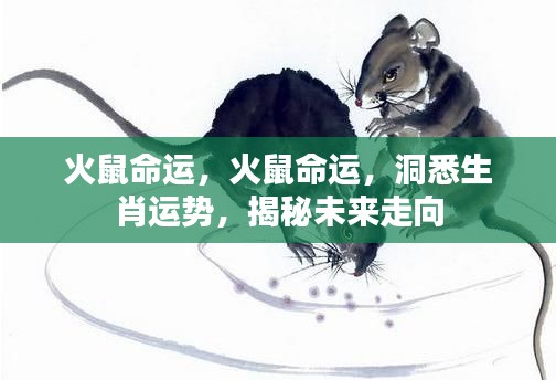 揭秘火鼠命运走向,洞悉生肖运势,未来展望全解析