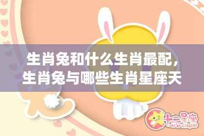 揭秘生肖兔的最佳配对组合,与哪些生肖星座天生一对?
