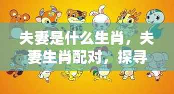 夫妻生肖配对奥秘探索,生肖影响下的爱情解读