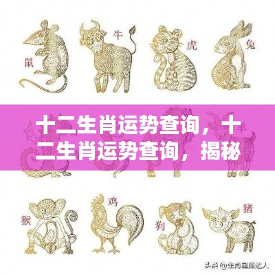 揭秘十二生肖未来运势走向,全面解析你的运势查询!