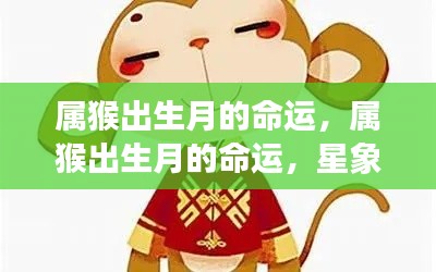 猴年出生月的命运与星象指引,猴年人生的独特轨迹
