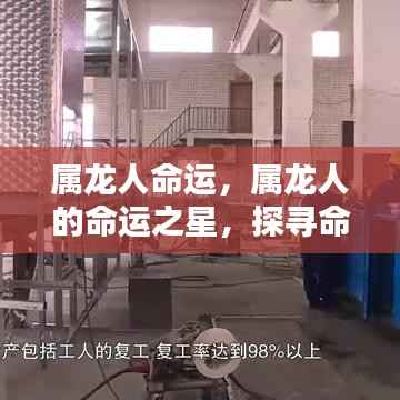 属龙人的命运轨迹，独特优势与挑战探寻