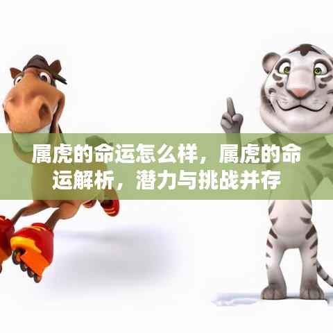 属虎命运解析,潜力与挑战并存的命运之路