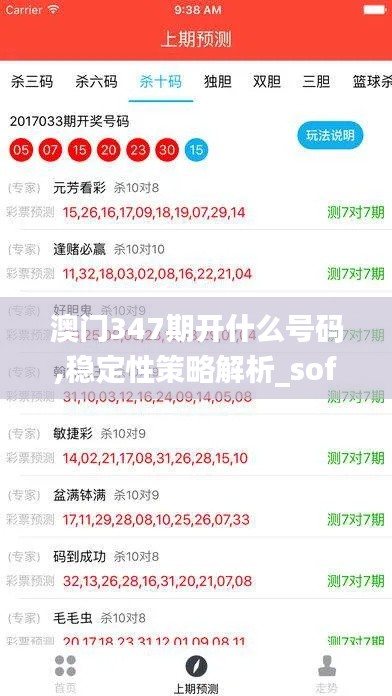 澳门347期开什么号码,稳定性策略解析_soft10.837