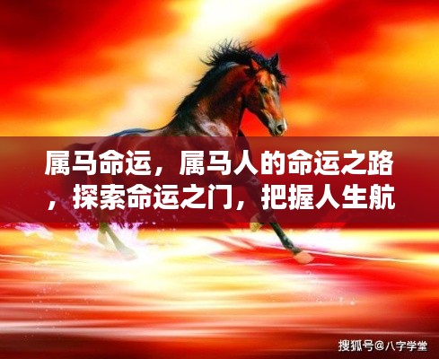 属马人的命运探索,把握人生航向,揭秘命运之门