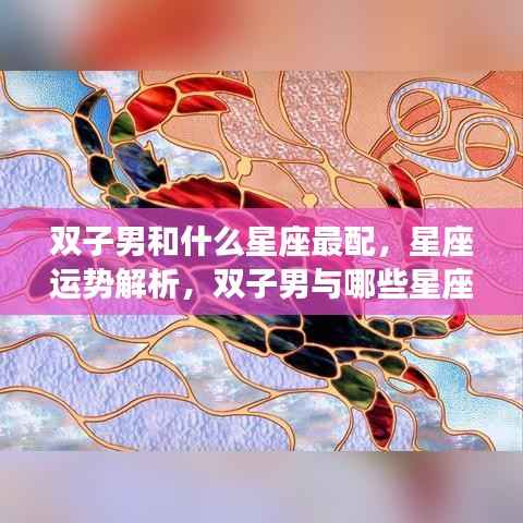 双子男星座配对解析，最佳星座组合与星座运势展望