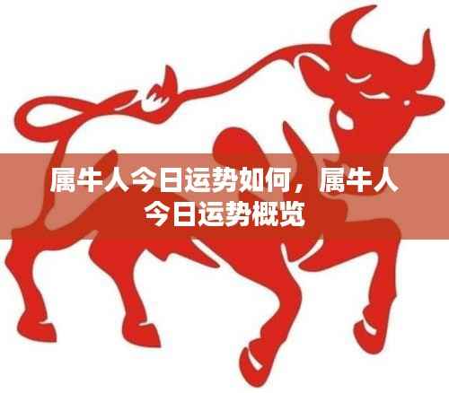 属牛人今日运势概览与运势分析