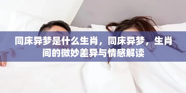 同床异梦与生肖,微妙差异及情感解读探讨