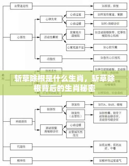斩草除根背后的生肖秘密揭晓,揭秘生肖与斩草除根的神秘联系