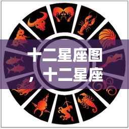 空前绝后 第7页