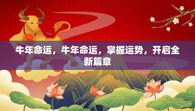 牛年运势揭秘,掌握命运之轮,开启全新篇章之旅