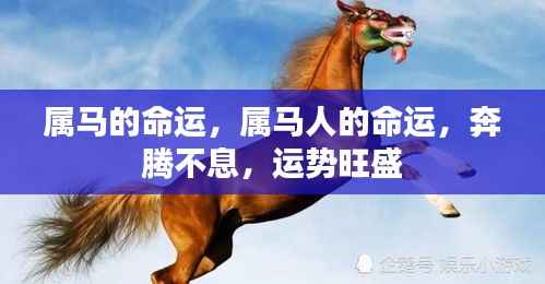 属马人的命运解析,奔腾不息,运势旺盛