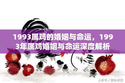 1993年属鸡婚姻与命运深度解析,探寻鸡年出生的情感与人生轨迹