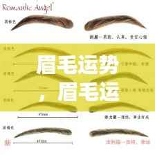 眉毛运势揭秘，星相变化与人生轨迹的紧密关联