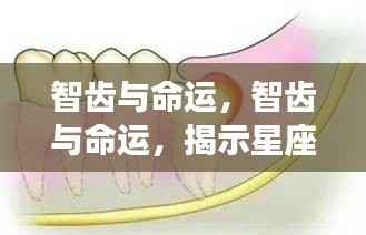 智齿与命运，星座运势中的隐秘联系揭秘