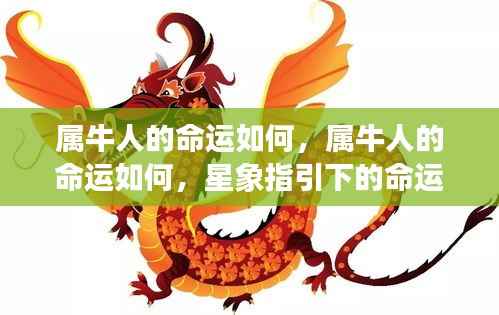 属牛人的命运解析,星象指引下的命运探索