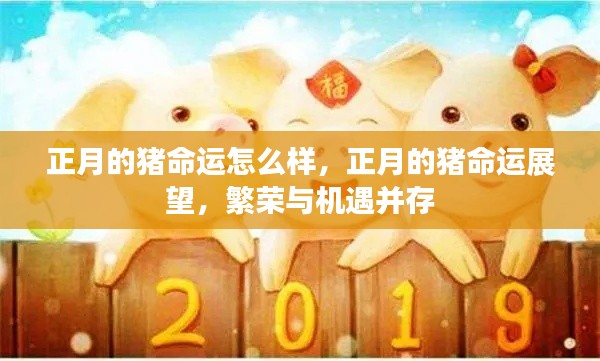 正月的猪命运展望,繁荣与机遇并存,展望命运展望之路
