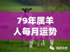1979年属羊人每月运势详解
