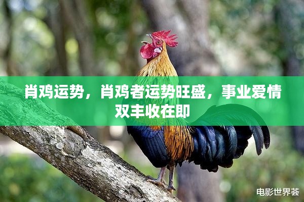 肖鸡运势大解析,事业爱情双丰收在即