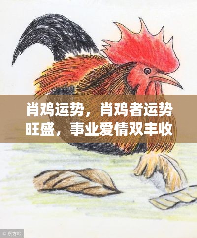 肖鸡运势大解析,事业爱情双丰收在即