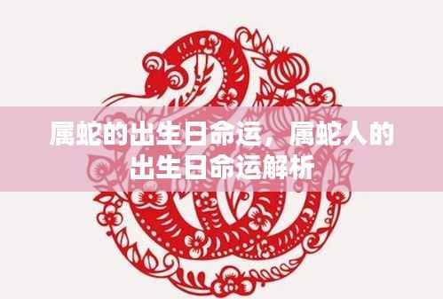 删繁就简 第5页