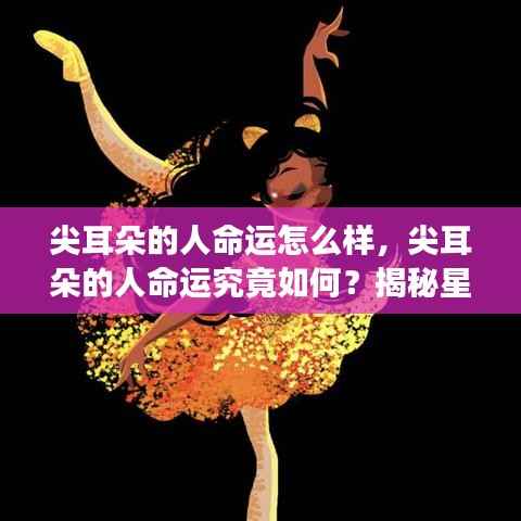 尖耳朵的人命运揭秘,星座运势背后的秘密探究