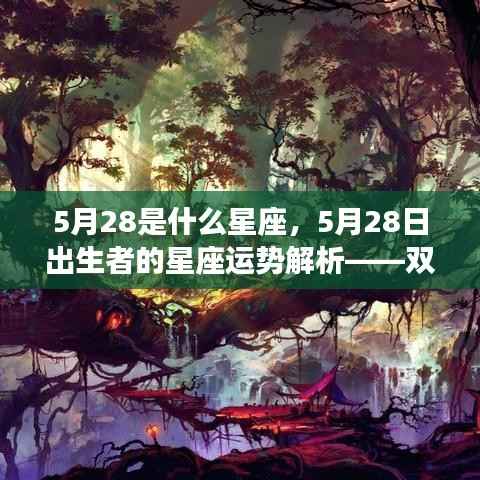5月28日星座运势解析,双子座与坚韧意志的碰撞,探寻命运之路的指引之光