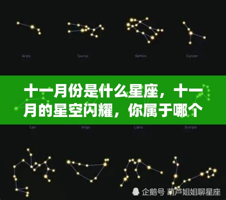 十一月星空下的星座探寻,你属于哪颗璀璨的星辰?