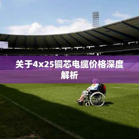 关于4x25铜芯电缆价格深度解析