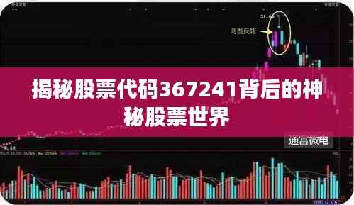 揭秘股票代码367241背后的神秘股票世界