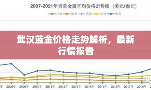 武汉蓝金价格走势解析,最新行情报告