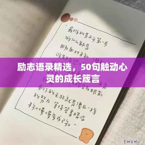 励志语录精选,50句触动心灵的成长箴言