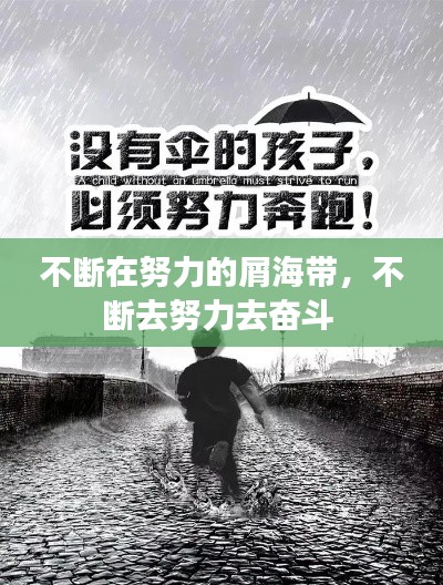 不断在努力的屑海带,不断去努力去奋斗