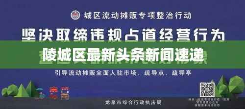 陵城区最新头条新闻速递