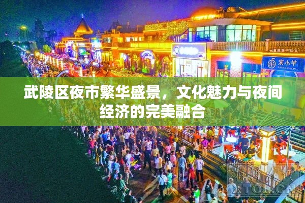 武陵区夜市繁华盛景,文化魅力与夜间经济的完美融合